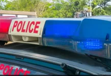 युवक ने रेप के बाद की लिव-इन पार्टनर की हत्या, 40-50 टुकड़े कर जंगल में फेंका शव…