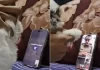 पुलिस ऑफिसर बन स्कैमर ने किया कॉल, सामने वाले ने किया कुछ ऐसा, Video कॉल काटकर भागा जालसाज
