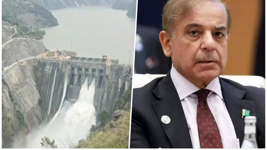 f3ssq6bo_cvb_625x300_17_May_25