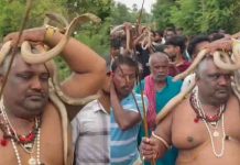 किसी के सिर पर तो किसी के गले में… बिहार का ऐसा जिला, जहां नागपंचमी पर लगता है सांपों का मेला