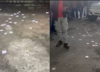 शिमला की सड़कों पर जब शख्स ने कर दी पैसों की बारिश, जानें फिर क्या हुआ