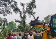 यूपी के बाराबंकी में रोडवेज बस पर गिरा पेड़, ड्राइवर समेत 5 की मौत