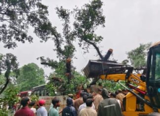यूपी के बाराबंकी में रोडवेज बस पर गिरा पेड़, ड्राइवर समेत 5 की मौत