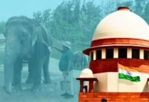 सुप्रीम कोर्ट से वंतारा को राहत, हाथियों के ट्रांसफर पर मिली क्लीन चिट