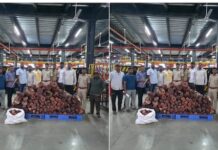 पकड़ा गया पुष्पा गैंग, कोरियर से भेज रहे थे चंदन की लकड़ी, हरियाणा आ रही थी खेप