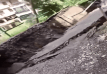 शिमला में ढही दीवार, सुजानपुर में गिरी चट्टान…. हिमाचल में ये भयंकर लैंडस्लाइड डरा रहा