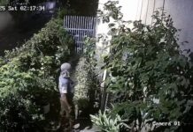 MP में बेखौफ बदमाश, प्रदेश कांग्रेस प्रमुख के घर रात को बोल दिया धावा और फिर…