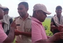 गजबे गुंडागर्दी है! कटिहार में छटाई के नाम पर पूरा पेड़ काट बेच रहे बिजली विभाग के अधिकारी, रोका तो लगे धमकाने