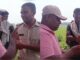 गजबे गुंडागर्दी है! कटिहार में छटाई के नाम पर पूरा पेड़ काट बेच रहे बिजली विभाग के अधिकारी, रोका तो लगे धमकाने