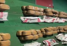 हैदराबाद के पास 400 किलोग्राम से अधिक गांजा पकड़ा गया, 2 करोड़ रुपये है कीमत