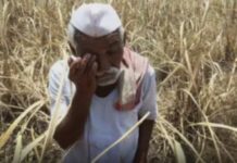 मराठवाड़ा में हर दिन 3 किसान कर रहे आत्महत्या, जनवरी से अक्टूबर तक 899 अन्नदाताओं ने दी जान