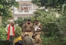 इंसानियत शर्मसार! नवजात को कूड़े के ढेर में फेंका, कुत्तों ने नोंचे सिर और हाथ; पार्क में फेंका धड़