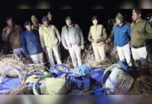 पुआल के ढेर में छिपा था ‘नशे का खजाना’: बगहा पुलिस ने बरामद किया 203 किलो गांजा, तस्करों की साजिश फेल