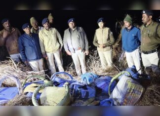 पुआल के ढेर में छिपा था ‘नशे का खजाना’: बगहा पुलिस ने बरामद किया 203 किलो गांजा, तस्करों की साजिश फेल