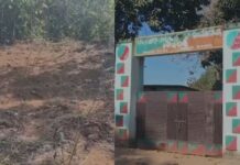 ओडिशा में बिजली के करंट से हाथी की हो गई थी मौत, कार्रवाई से बचने के लिए अधिकारी ने 32 टुकड़ों में शव को काट दफना दिया