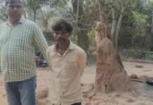 ओडिशा में जादू-टोने के शक में कलयुगी बेटे ने मां को उतारा मौत के घाट, चाकू उठाया और घोंप दिया