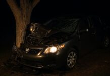 सोनीपत में भीषण सड़क हादसा, शादी से लौट रहे दोस्तों की गाड़ी पेड़ से टकराई, पांच की मौत