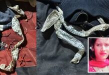 ‘नागिन’ बनकर गायब हुई लड़की के राज से उठा पर्दा, इंस्टाग्राम वीडियो से सामने आ गई पूरी सच्चाई