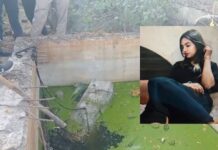 सेफ्टिक टैंक में बक्सा, उसमें थी महिला की लाश; तीसरी पत्नी को मार जबलपुर भाग गया था पति